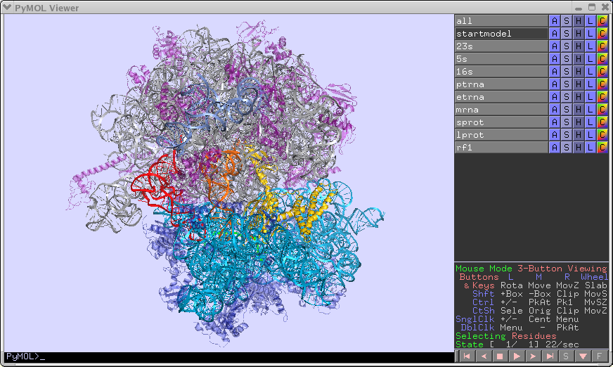 70S Ribosome 3.2A RF1