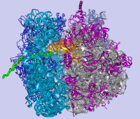 70S Ribosome 3.7A