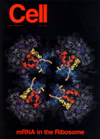 2001 Cell Cover 