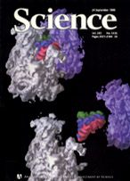 1999 Science Cover