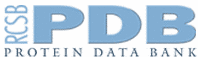 Protein Data Bank