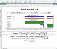 Intronerator Screenshoot